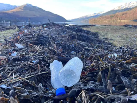 Two plastic bottles sit on top of the seaweed at the Arrochar litter sink