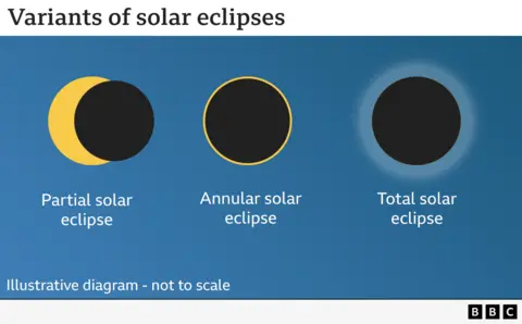 An illustrative diagram explaining the different types of solar eclipses. It visually represents a partial solar eclipse, an annular solar eclipse and a total solar eclipse, where the Moon completely blocks the Sun, revealing the corona.
The text below the image provides a written explanation of what can be seen during these eclipse types. A note at the bottom indicates that the diagram is illustrative and not to scale. The image is credited to the BBC.