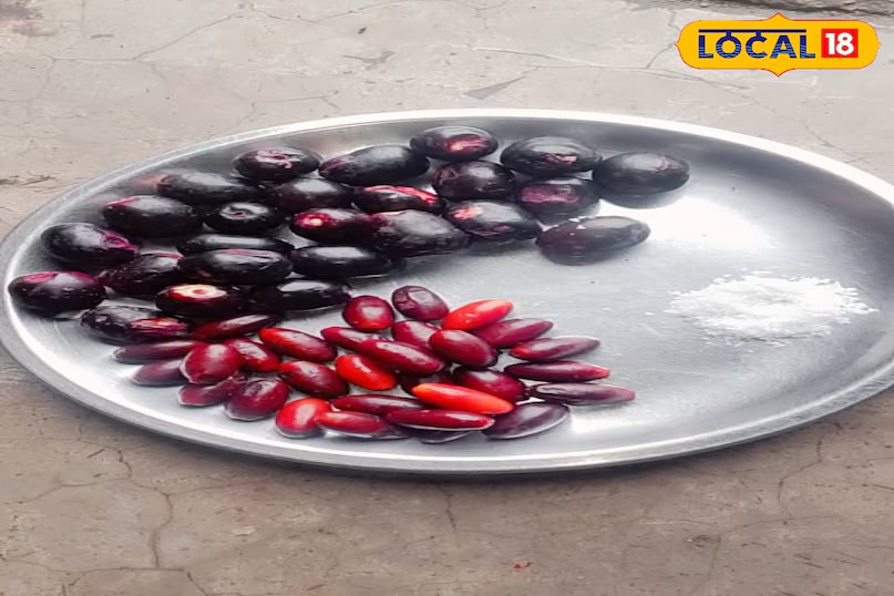 After jamun comes the khajuri fruit. Not to be confused with dates, khajuri is a wild fruit commonly found in fields and forests. The trees begin to bear fruit around February - March, and the fruits remain through the summer, ripening once the rains begin. Available for about a month during the monsoon, khajuri is sweet like dates, though it is known to have a naturally hot nature. (News18 Hindi)