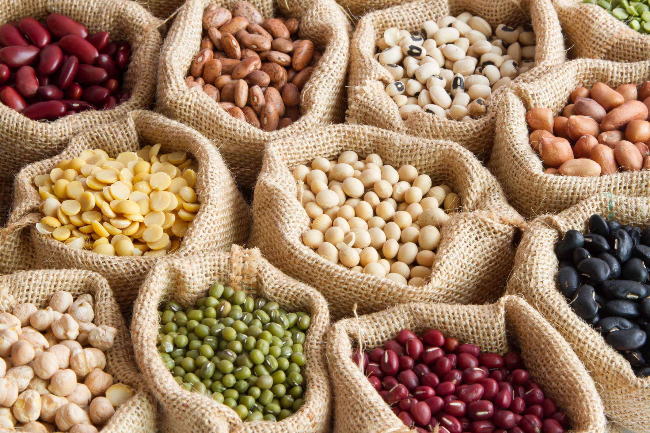 Plant-based protein is more cost-effective